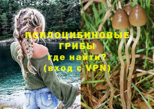 MDMA Premium VHQ Ладушкин