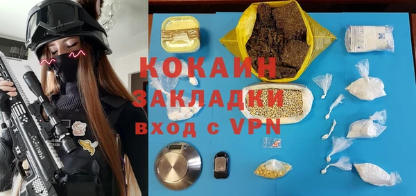 трава Лабытнанги