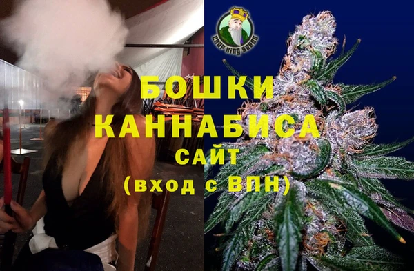 трава Лабытнанги