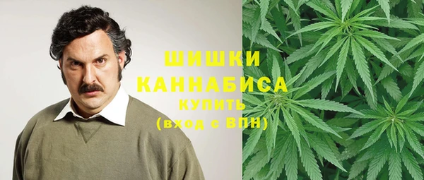 трава Лабытнанги