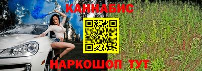 альфа пвп Заводоуковск