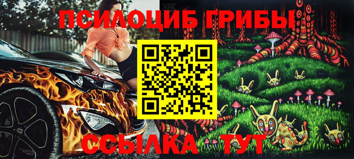Светлоград  Галлюциногенные грибы мухоморы  Псилоцибиновые грибы мицелий  Вход с VPN 