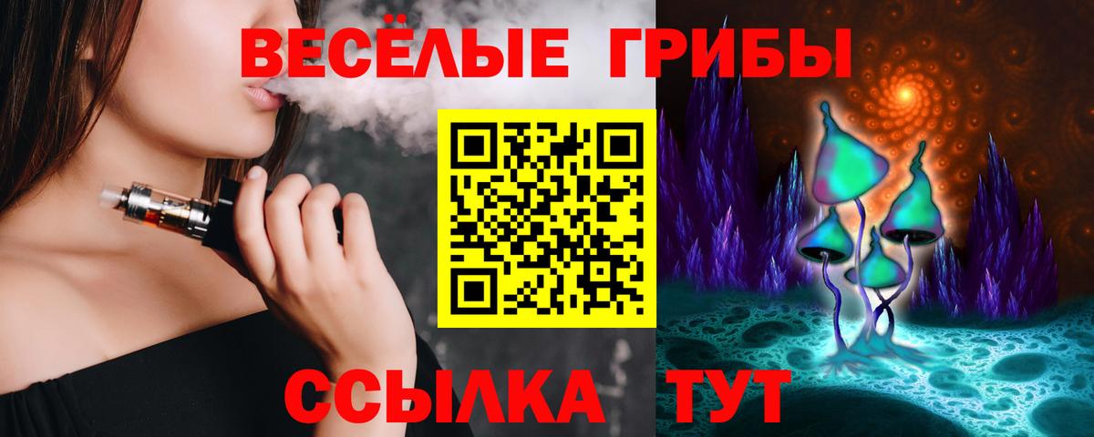 Псилоцибиновые грибы мицелий Светлоград